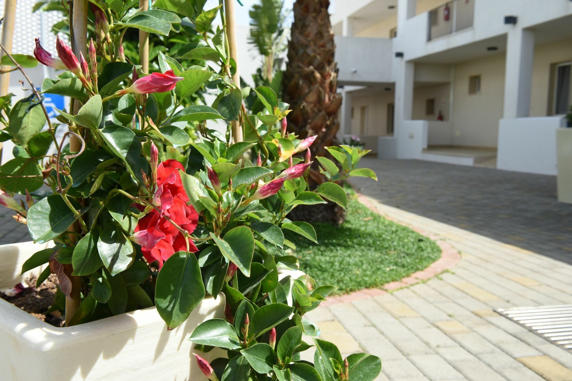 توري سانتا سابينا Donnosanto Residence المظهر الخارجي الصورة